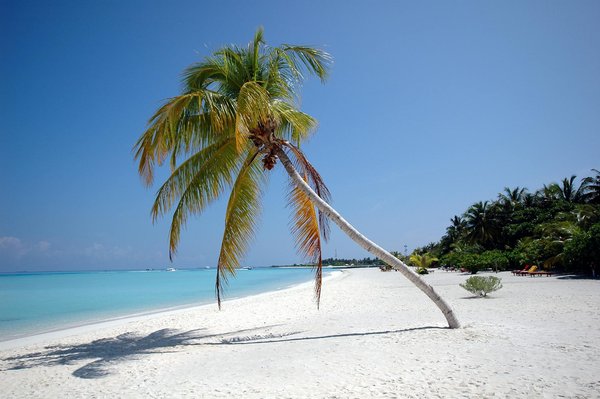 Où loger à bali : guide des meilleurs hébergements